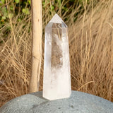 Carnelian goba