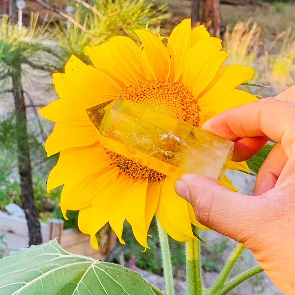 Citrin - Kristal radosti in obilja