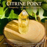 9-delni komplet citrina 👉 Ponudba dneva za 12 USD