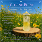 Πακέτο Joyful Citrine + Allies Crystal Box