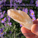 Σετ 42-Piece Crystal Collectors Bundle 👉 ΕΞΟΙΚΟΝΟΜΗΣΗ 75%