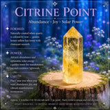 Juego de 4 manifestaciones de Crystal Sparkle Lightwork