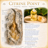 9-delni komplet citrina 👉 Ponudba dneva za 12 USD