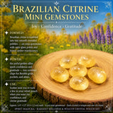 Juego de bolsas de cristal Harmony & Abundance