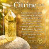 9-delni komplet citrina 👉 Ponudba dneva za 12 USD