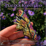 Σετ 42-Piece Crystal Collectors Bundle 👉 ΕΞΟΙΚΟΝΟΜΗΣΗ 75%
