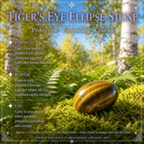 Grounding Tiger's Eye + Συλλογή Κρυστάλλων Συμμάχων