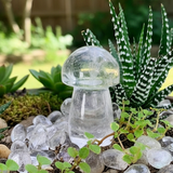 Μανιτάρι χαλαζία