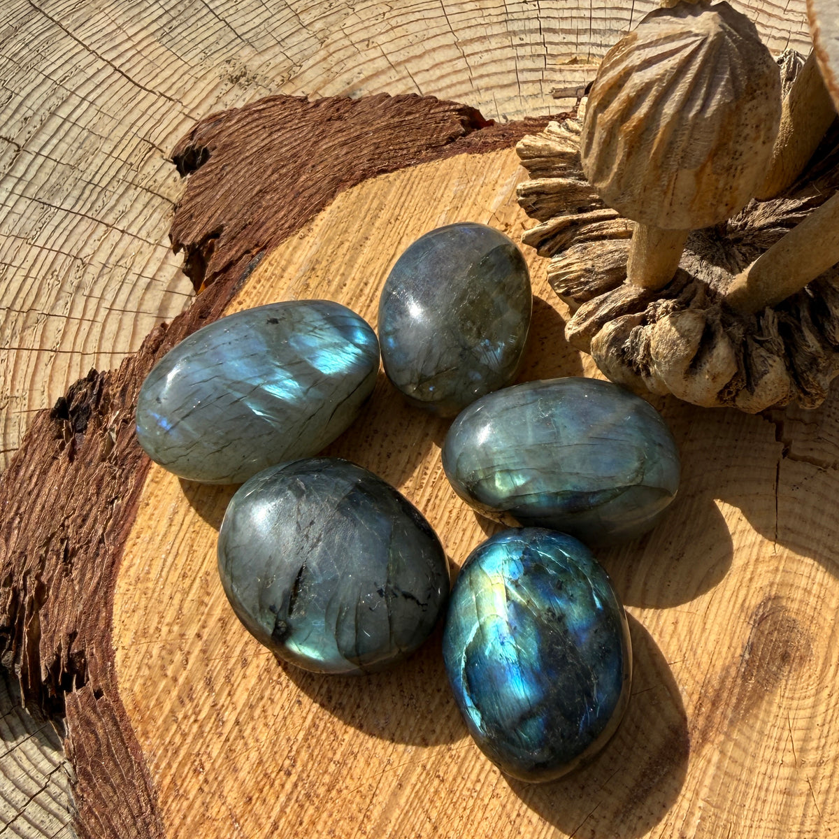 Z ARRON DESIGN Serenity Moonstone kobbertråd anheng halskjede