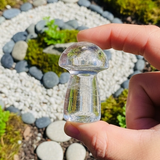 Μανιτάρι χαλαζία