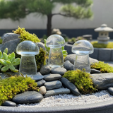 Μανιτάρι χαλαζία