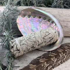 Smudge Kit: White Sage (4-tommu) + Abalone skel