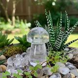 Μανιτάρι χαλαζία