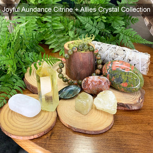 Joyful Citrine + Allies Crystal Box Knippi