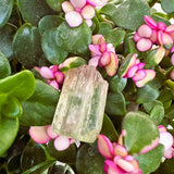 Μεγάλο (1,19 λίβρες) Μωβ Flash Labradorite Freeform (Είδος #0077)