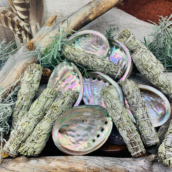 Žajbelj in školjke