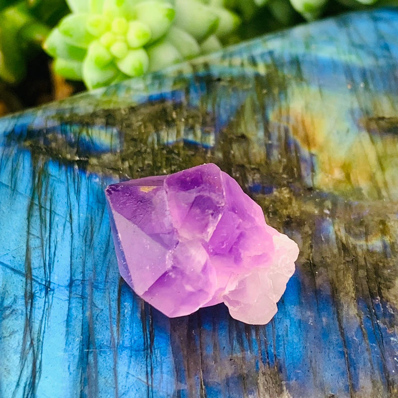 Crystal Magicka Masterclass : Crystal Course - ΕΚΠΤΩΣΗ 75%.