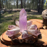 Σετ 8 τεμαχίων Amethyst Point + Amethyst Shards
