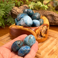 Apatit Tumbled Stone