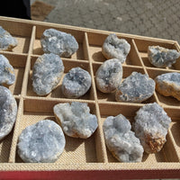 Celestite Geode Cluster - clustergeode