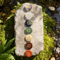 ✨Magicka Academy Crystal Healing Masterclass byrjendasett