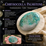 Chrysocolla palmestein