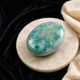Chrysocolla palmestein