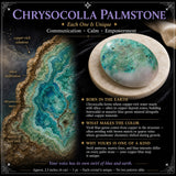 Chrysocolla palmestein