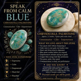 Chrysocolla palmestein