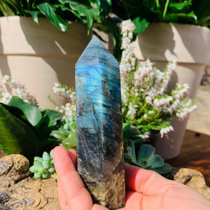 ZZZZ working NEED MORE PHOTOS NEW SIZE Labradorite Generator - generator