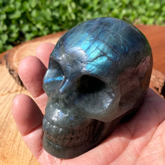 Labradorite höfuðkúpa (miðlungs stærð)