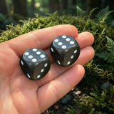 Black Agate Set of 2 Dice