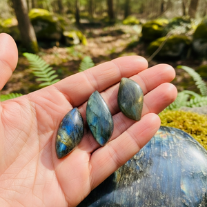 Labradorit Cabochon