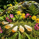 Κολιέ μενταγιόν Z ARRON DESIGN Serenity Moonstone από χάλκινο σύρμα