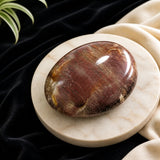 Piedra de palma de madera petrificada