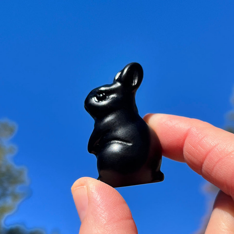 🐇 Holiday Harmony Bunny Duo🐇