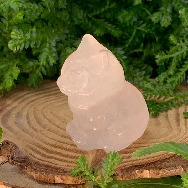 Μανιτάρι Carnelian