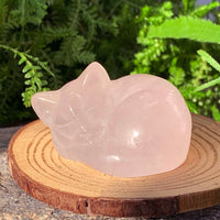 Μανιτάρι Carnelian
