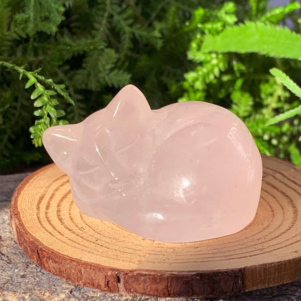 Μανιτάρι Carnelian