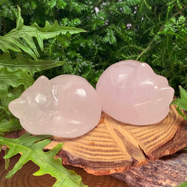 Μανιτάρι Carnelian