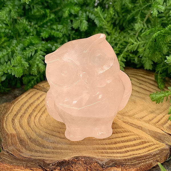Μανιτάρι Carnelian