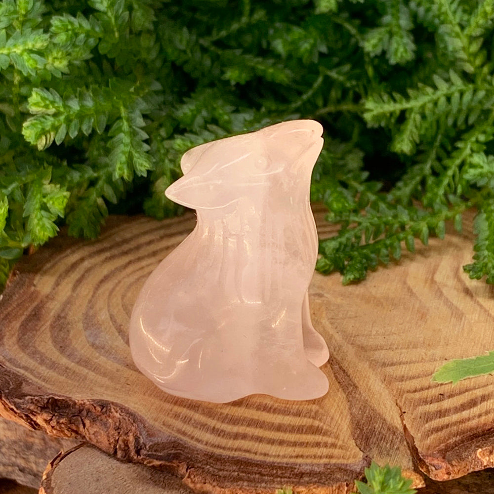 Carnelian goba