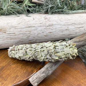6-inch witte saliebundels