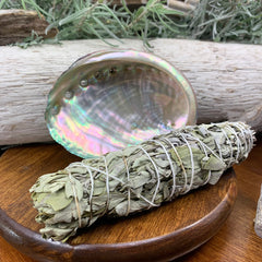 Smudge Kit: White Sage (6-tommu) + Abalone skel