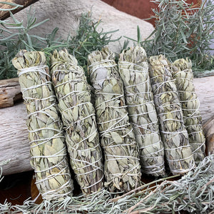 6-inch witte saliebundels