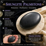 Shungitt palmestein