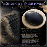 Shungitt palmestein