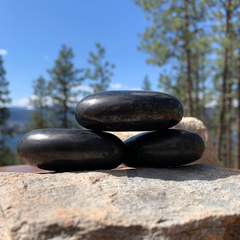 Shungite Palmstone