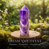 5-delad Guardian Crystal Energy Protection Set endast $29 1-dagars kampanjrea