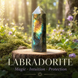 5-delad Guardian Crystal Energy Protection Set endast $29 1-dagars kampanjrea